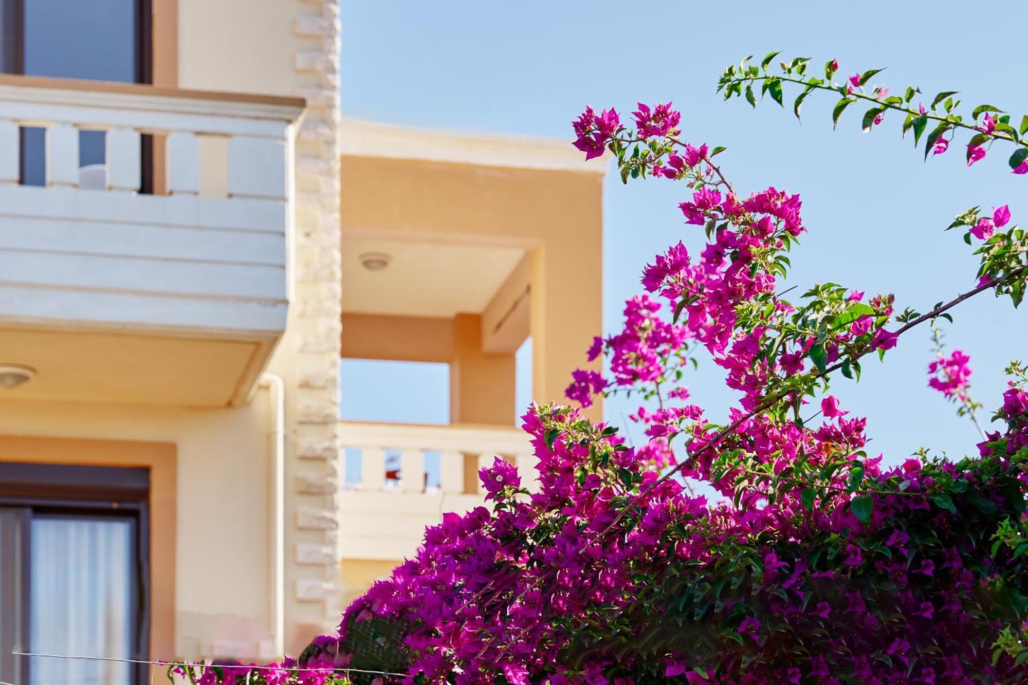 Villa Gereoudis Seaview Apartments-Pool & Bar Kolymbari Exterior photo